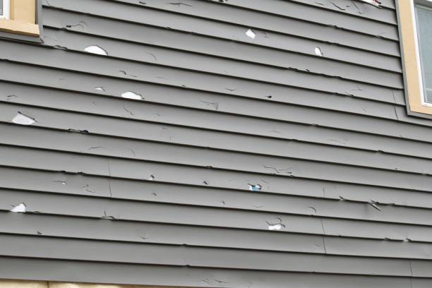 Best Aluminum Siding Installation  in Campbell, FL