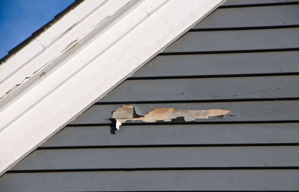 Best Vinyl Siding Installation  in Campbell, FL