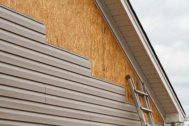 Best Custom Trim and Detailing for Siding  in Campbell, FL